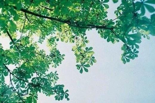 青春励志说说带图片