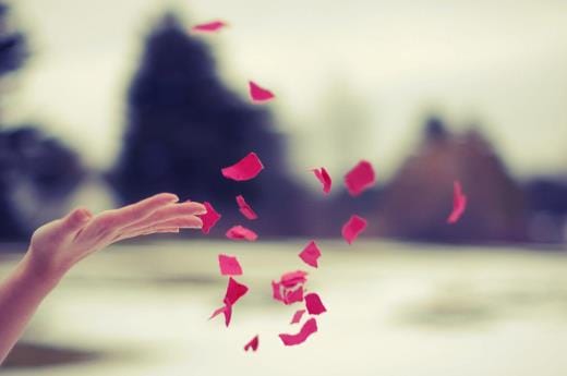 赞美父母之爱的句子