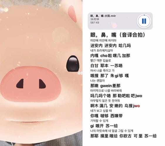 歌手鼻耳个人资料歌曲代表作有哪些)(热门推荐) 歌手鼻耳个人资料歌曲代表作有哪些)(热门推荐)
