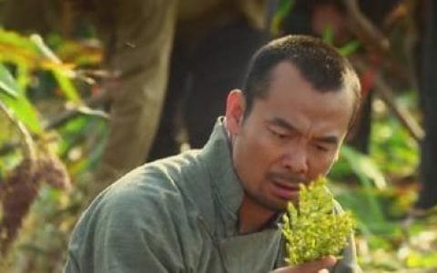 honggaoliang荆楚八卦 honggaoliang荆楚八卦