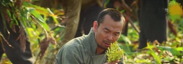 honggaoliang荆楚八卦 honggaoliang荆楚八卦