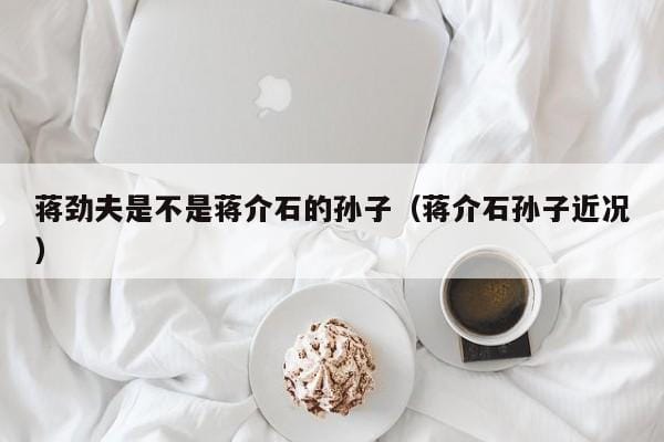 蒋劲夫是不是蒋介石的孙子(蒋介石孙子近况) 蒋劲夫是不是蒋介石的孙子(蒋介石孙子近况)