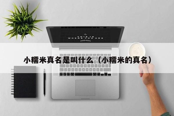 小糯米真名是叫什么(小糯米的真名) 小糯米真名是叫什么(小糯米的真名)
