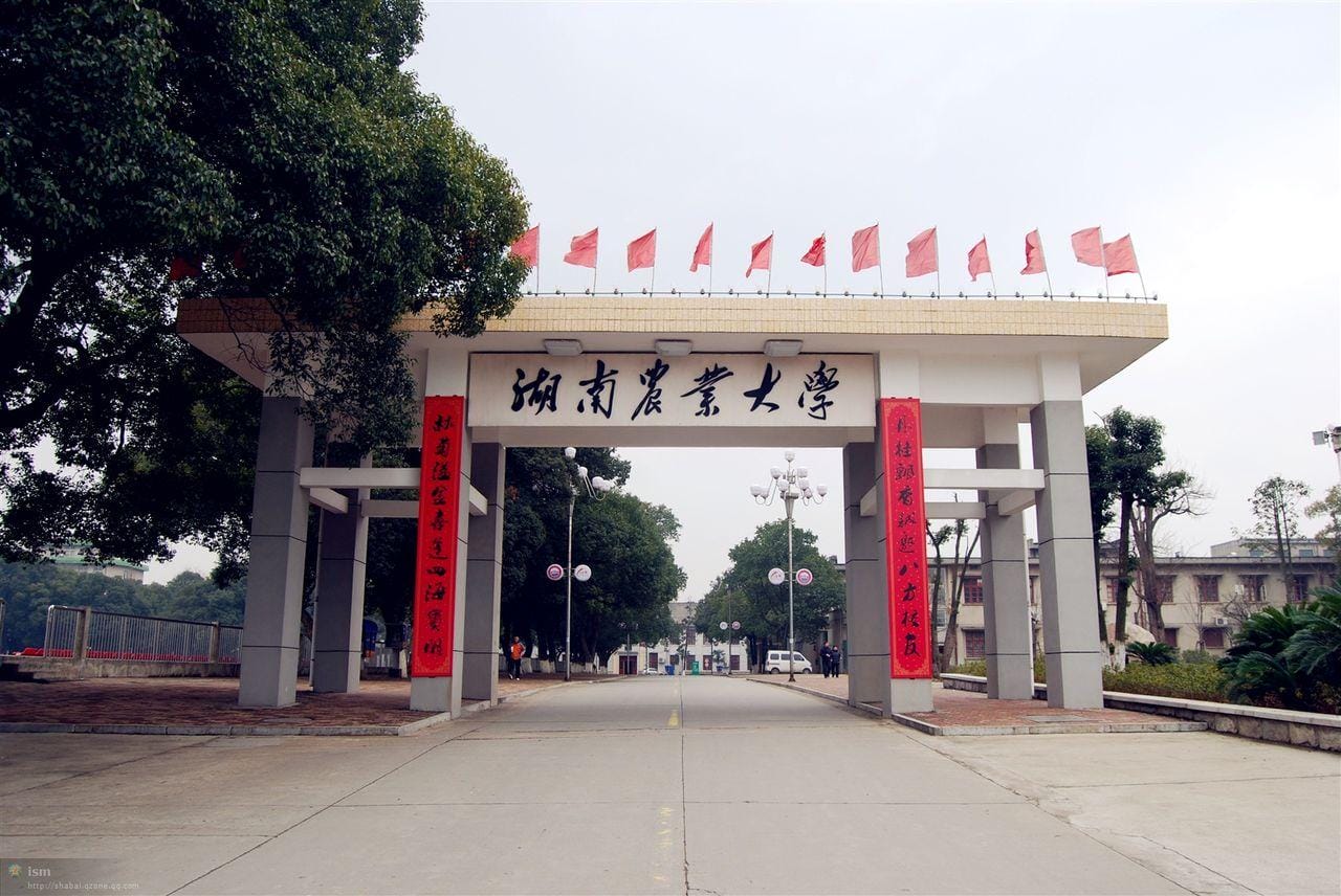 湖南农业大学是几本 是一本还是二本（湖南农业大学是几本）(图3)