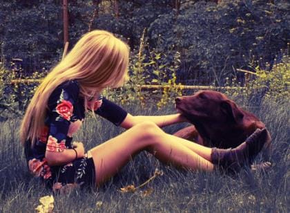 祝事业成功的祝福语