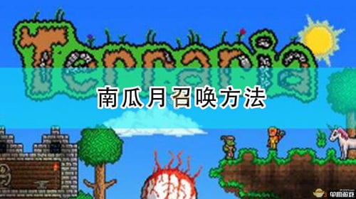 南瓜森林游戏攻略(南瓜村攻略)