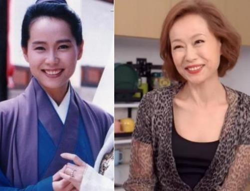 叶童图片,叶童价格(叶童照片最近照片) 叶童图片,叶童价格(叶童照片最近照片)