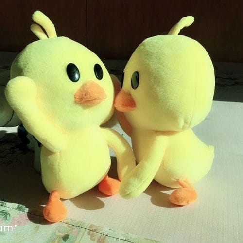抖音鸭子小游戏解说(鸭子游戏视频)
