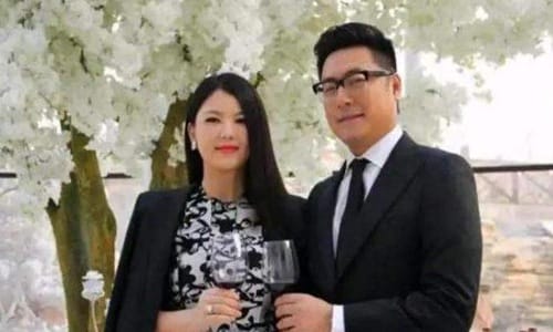 王岳伦前妻李湘意中人是谁(王岳伦和李湘是头婚吗) 王岳伦前妻李湘意中人是谁(王岳伦和李湘是头婚吗)
