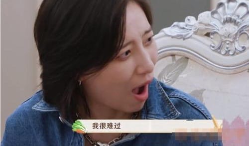 岳云鹏说李斯丹妮腿粗不适合跳舞是怎么回事 岳云鹏说李斯丹妮腿粗不适合跳舞是怎么回事