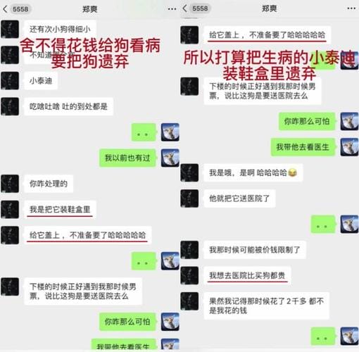 郑爽录音完整版,郑爽事件怎么回事(央视回应郑爽事件录音) 郑爽录音完整版,郑爽事件怎么回事(央视回应郑爽事件录音)