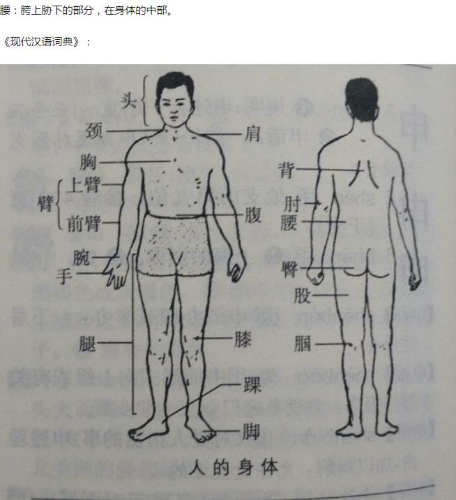 为什么老人说小孩没有腰,腰具体指的是身体的那个位置? 本文共(1268字) 为什么老人说小孩没有腰,腰具体指的是身体的那个位置? 本文共(1268字)