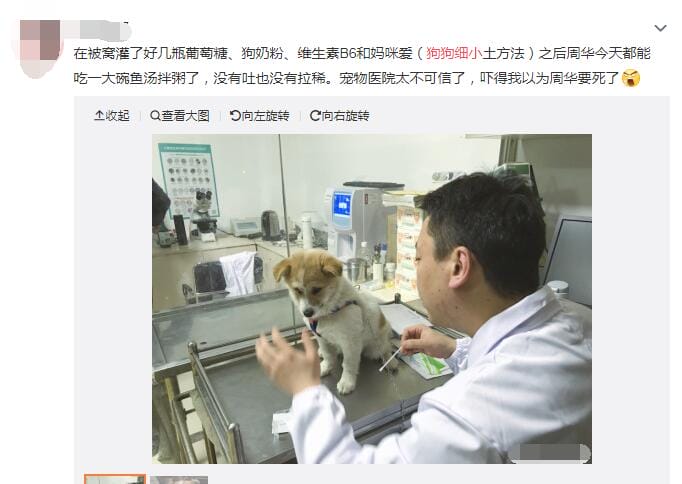 狗狗得细小能自愈吗,得细小的狗死前状态图 本文共(1057字) 狗狗得细小能自愈吗,得细小的狗死前状态图 本文共(1057字)