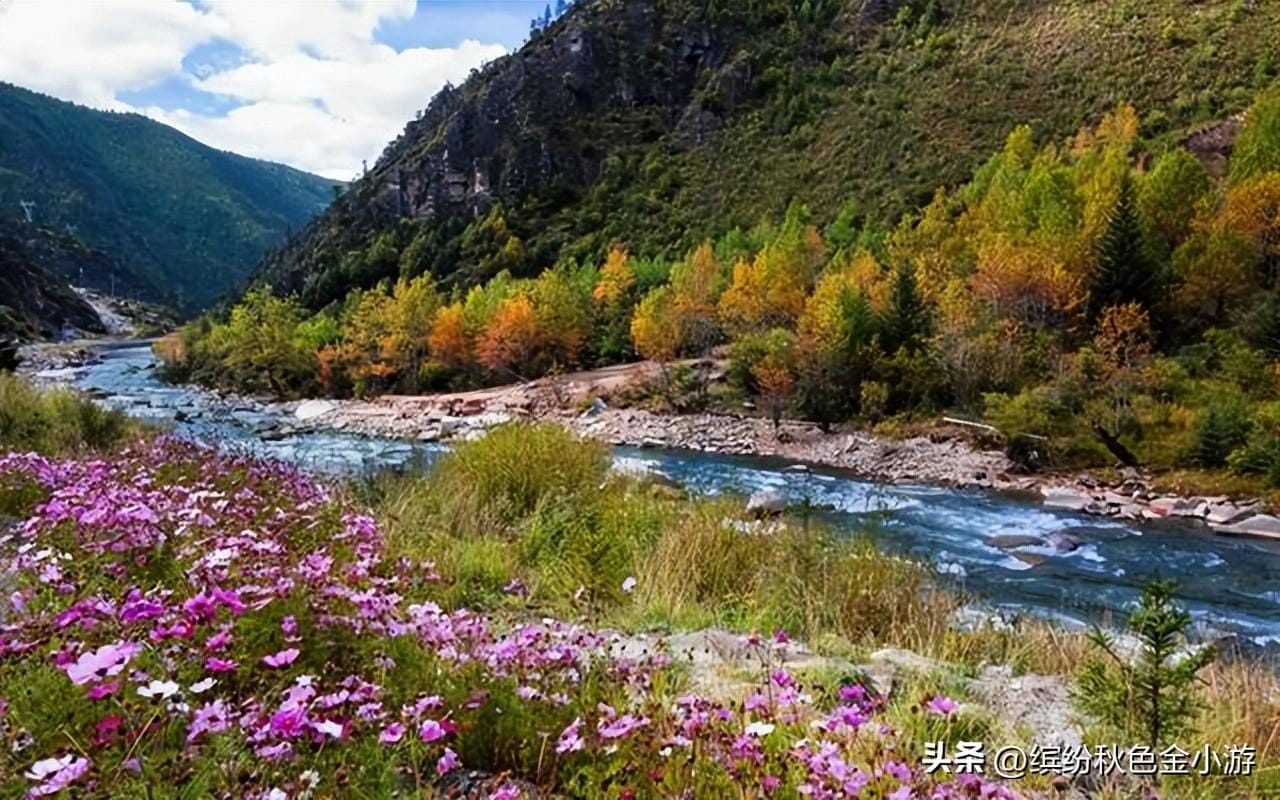 四川旅游必去十大景点排名（四川最美的二十个景区）(图1)