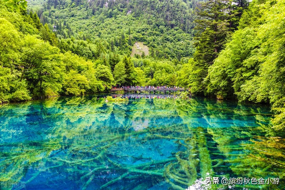 四川旅游必去十大景点排名（四川最美的二十个景区）(图2)