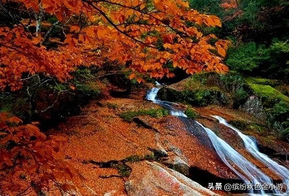 四川旅游必去十大景点排名（四川最美的二十个景区）(图20)