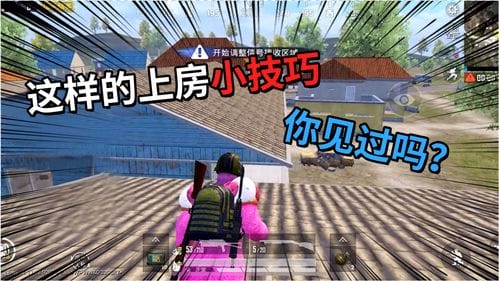 扩建厕所小游戏攻略(扩建卫生间是违法的吗?)