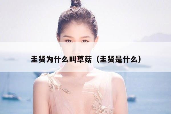 圭贤为什么叫草菇(圭贤是什么) 圭贤为什么叫草菇(圭贤是什么)