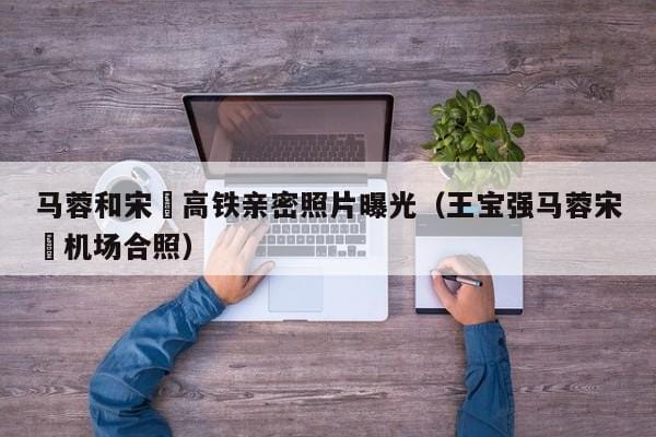 马蓉和宋喆高铁亲密照片曝光(王宝强马蓉宋喆机场合照) 马蓉和宋喆高铁亲密照片曝光(王宝强马蓉宋喆机场合照)