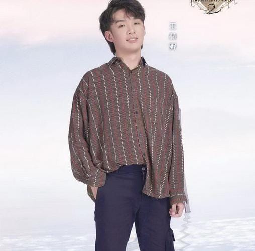 王赫野个人资料，于莎莎的个人资料,本文共（1067字）
