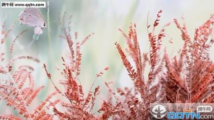 闺蜜给我送好吃的说说