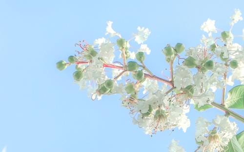 中秋节发给客户祝福语