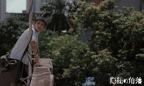 隐秘的角落恐怖吗作者是谁原著叫什么(隐秘的角落原著更黑暗) 隐秘的角落恐怖吗作者是谁原著叫什么(隐秘的角落原著更黑暗)