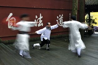 武术会游戏攻略(武术 游戏)