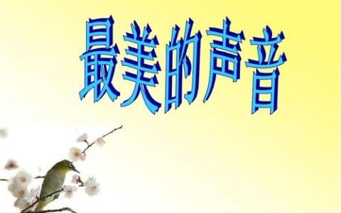 世界屋脊的歌声(世界屋脊的歌声在线播放) 世界屋脊的歌声(世界屋脊的歌声在线播放)
