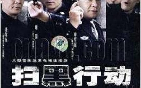 扫黑全体人员的演员表(扫黑全体人员的演员表项天) 扫黑全体人员的演员表(扫黑全体人员的演员表项天)