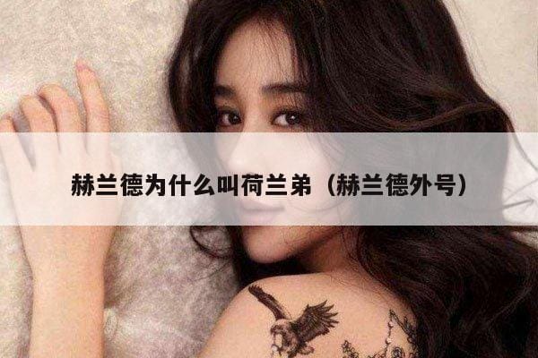 赫兰德为什么叫荷兰弟(赫兰德外号) 赫兰德为什么叫荷兰弟(赫兰德外号)