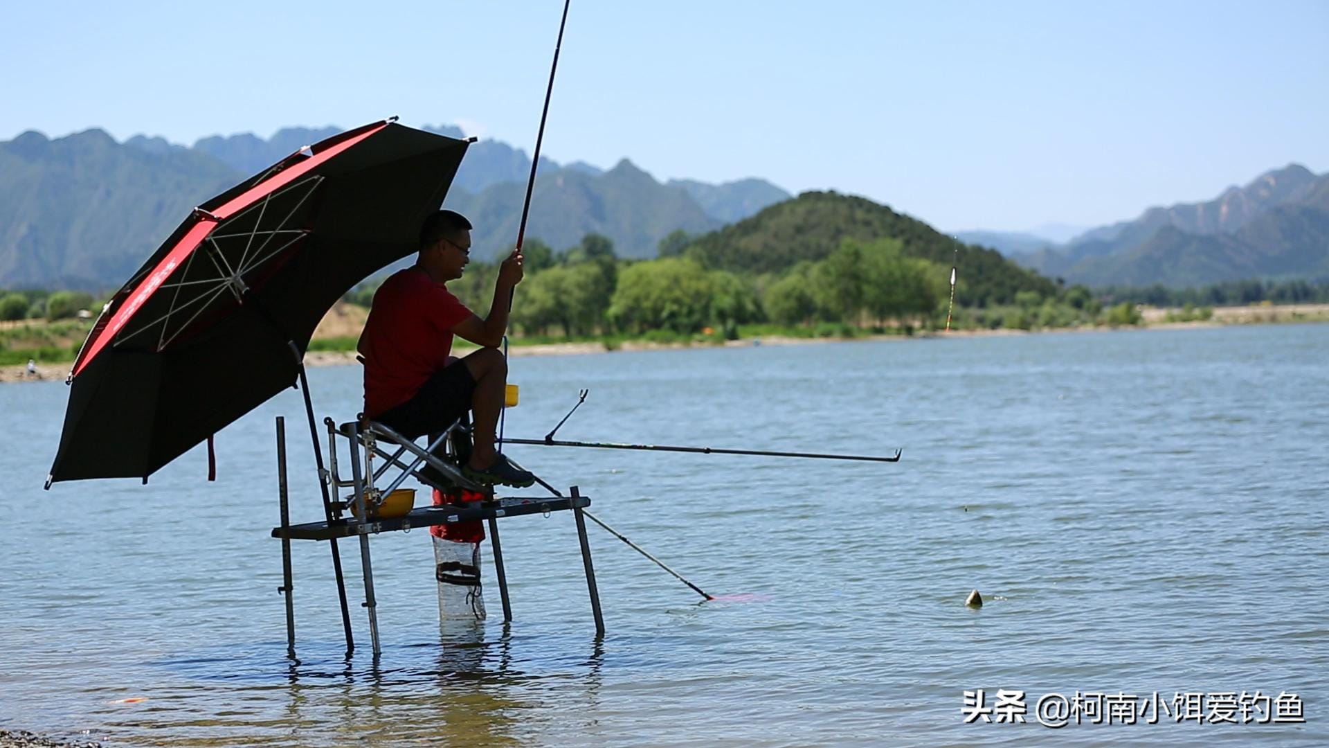 鱼的侧线在生活中的作用是什么-（鱼的侧线作用是什么）(图3)