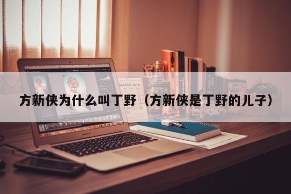 方新侠为什么叫丁野(方新侠是丁野的儿子) 方新侠为什么叫丁野(方新侠是丁野的儿子)