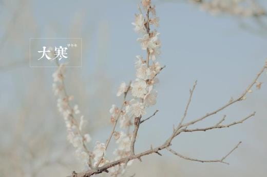 qq留言板搞笑留言