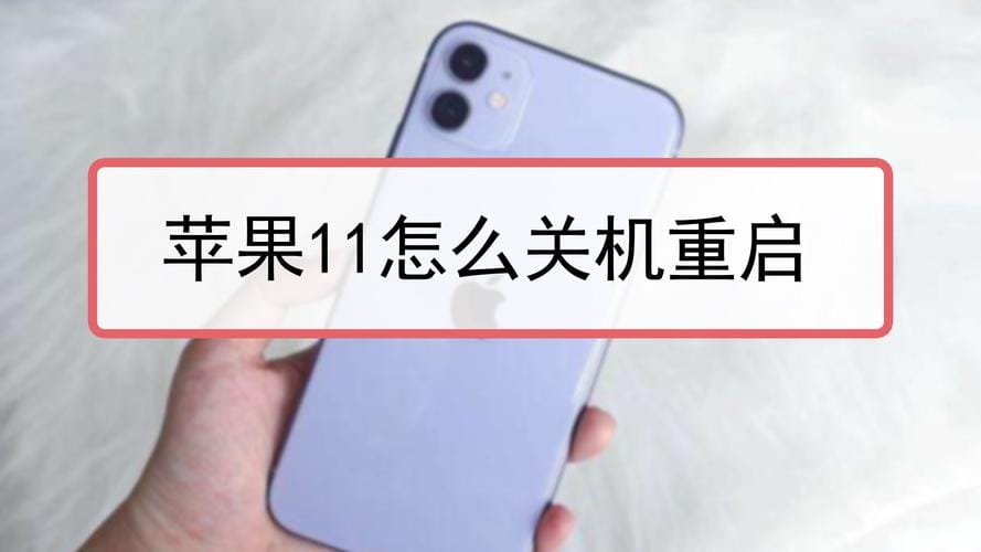 iphone 11死机强制重启(iphone11强制重启怎么操作)(图1) iphone 11死机强制重启(iphone11强制重启怎么操作)(图1)