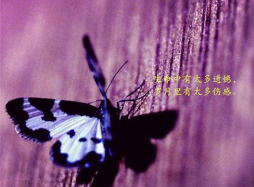 女生个性签名大全