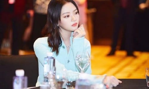 任敏现身白玉兰提名酒会