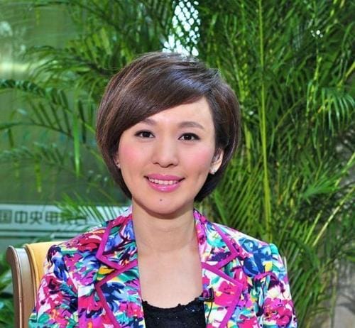 欧阳夏丹结婚了吗,央视查办五位主(央视的欧阳夏丹去哪里了) 欧阳夏丹结婚了吗,央视查办五位主(央视的欧阳夏丹去哪里了)