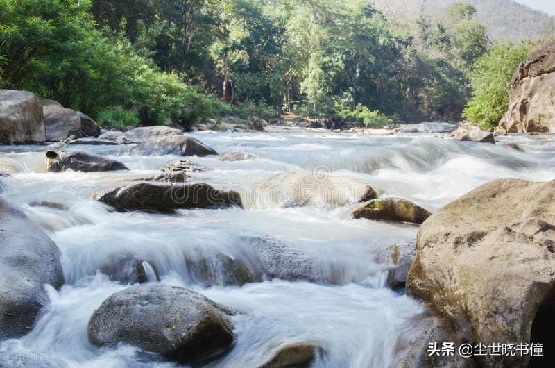 寻胡隐君高启的诗的意思(寻胡隐君古诗翻译及赏析)(图2) 寻胡隐君高启的诗的意思(寻胡隐君古诗翻译及赏析)(图2)
