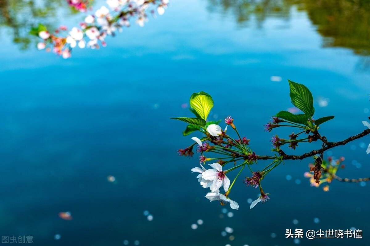 寻胡隐君高启的诗的意思(寻胡隐君古诗翻译及赏析)(图5) 寻胡隐君高启的诗的意思(寻胡隐君古诗翻译及赏析)(图5)