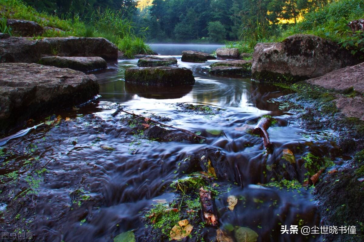 寻胡隐君高启的诗的意思(寻胡隐君古诗翻译及赏析)(图3) 寻胡隐君高启的诗的意思(寻胡隐君古诗翻译及赏析)(图3)