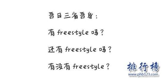 FreeStyle(프리스타일),freestyle是什么意思哦