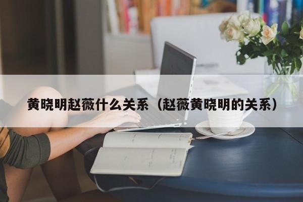 黄晓明赵薇什么关系(赵薇黄晓明的关系) 黄晓明赵薇什么关系(赵薇黄晓明的关系)