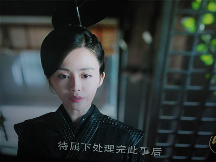 醉玲珑湛王府的黑衣女武聘婷是什么人?武聘 醉玲珑湛王府的黑衣女武聘婷是什么人?武聘