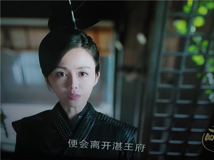 醉玲珑湛王府的黑衣女武聘婷是什么人?武聘 醉玲珑湛王府的黑衣女武聘婷是什么人?武聘