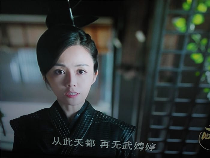 醉玲珑湛王府的黑衣女武聘婷是什么人?武聘 醉玲珑湛王府的黑衣女武聘婷是什么人?武聘