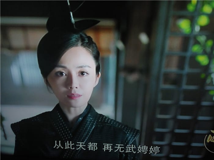 醉玲珑湛王府的黑衣女武聘婷是什么人?武聘 醉玲珑湛王府的黑衣女武聘婷是什么人?武聘