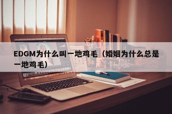 EDGM为什么叫一地鸡毛(婚姻为什么总是一地鸡毛) EDGM为什么叫一地鸡毛(婚姻为什么总是一地鸡毛)