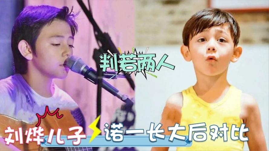 刘烨的儿子，混血儿的特征(刘烨 儿女)