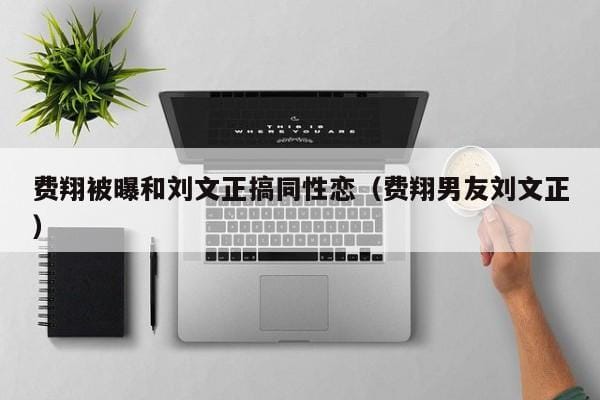 费翔被曝和刘文正搞同性恋(费翔男友刘文正) 费翔被曝和刘文正搞同性恋(费翔男友刘文正)